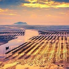 Huỳnh Thị Bảy avatar