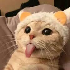 Lê Thị Hà avatar